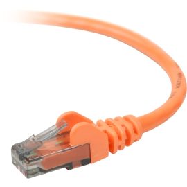 Belkin Cat.6 Patch Cable