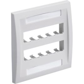 PANDUIT 10-Socket Faceplate