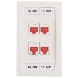 Panduit Network Faceplate