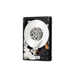 Cisco 300 GB Hard Drive - 2.5