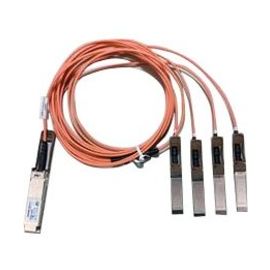 Cisco Fiber Optic Network Cable