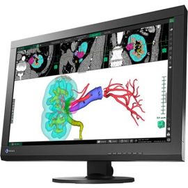 EIZO RadiForce MX242W 24.1