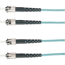 Black Box EFNT010 Fiber Optic Duplex Patch Network Cable