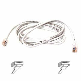 Belkin Cat6 Cable