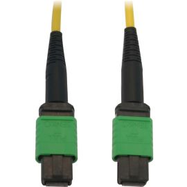 Tripp Lite Fiber Optic Cable 40/100G Singlemode 12F MTP/MPO-APC OS2 F/F 5M