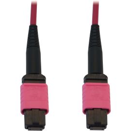 Tripp Lite 100G Multimode 50/125 OM4 Fiber Optic Cable (12F MTP/MPO-PC F/F) LSZH Magenta 10 m (32.8 ft.)