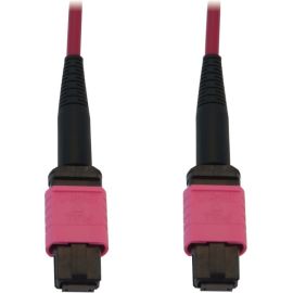 Tripp Lite 100G Multimode 50/125 OM4 Fiber Optic Cable (12F MTP/MPO-PC F/F) LSZH Magenta 20 m (65.6 ft.)