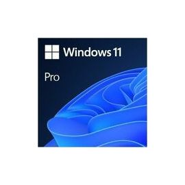 Microsoft Windows 11 Pro 64-bit - Box Pack - 1 License